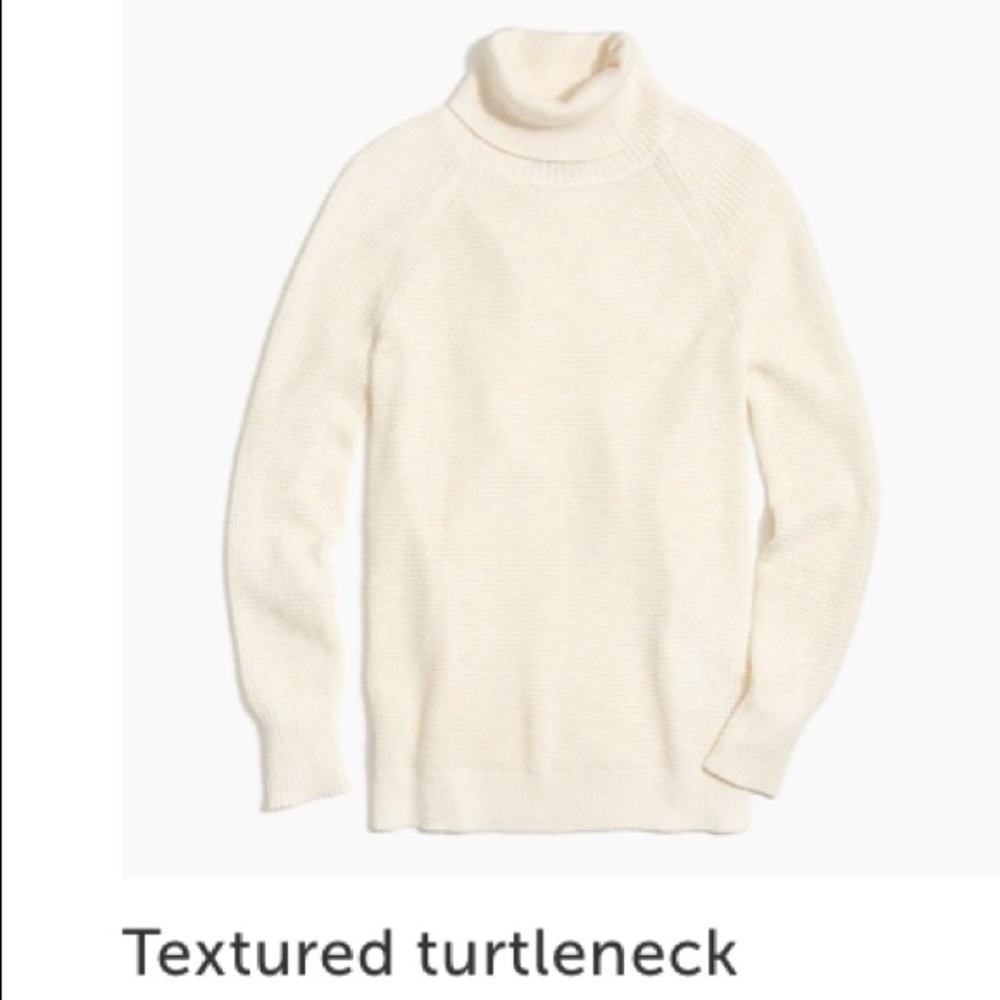 J. Crew turtleneck